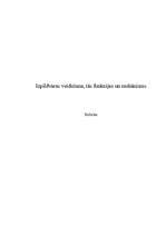 Research Papers 'Izpildvaras veidošana, tās funkcijas un mehānisms', 1.