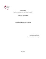 Research Papers 'Pretparkinsonisma līdzekļi', 1.