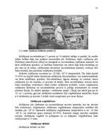 Research Papers 'Darba ražīguma organizēšana ražošanas uzņēmumā SIA "Lat Salta"', 31.
