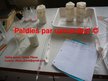 Presentations 'Probiotisko baktēriju attīstība piena fermentācijas procesā', 13.