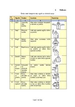 Samples 'Darba aizsardzības instrukcija sniega tīrīšanai no ēkas jumta', 16.