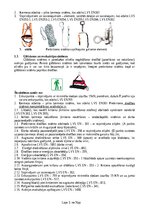 Samples 'Darba aizsardzības instrukcija sniega tīrīšanai no ēkas jumta', 21.