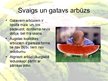 Presentations 'Arbūzi un melones', 4.