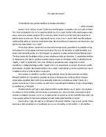 Essays 'Eseja “Vai viegli būt jaunam?”', 1.