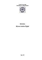 Research Papers 'Biznesa kultūra Ēģiptē', 1.