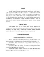 Research Papers 'Ģeneratīvā mākslīgā intelekta (MI) ieviešana un ietekme uz produktivitāti un pār', 4.