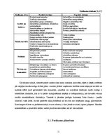 Research Papers 'Rīgas rajona padomes Izglītības un kultūras pārvaldes sabiedrisko attiecību akti', 11.