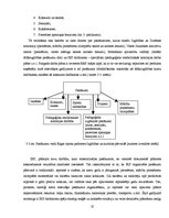 Research Papers 'Rīgas rajona padomes Izglītības un kultūras pārvaldes sabiedrisko attiecību akti', 25.