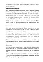 Essays 'Mani saistošais Raiņa filosofijā', 5.