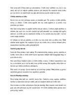 Essays 'Mani saistošais Raiņa filosofijā', 6.
