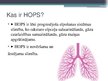 Presentations 'Hroniska obstruktīva plaušu slimība', 2.