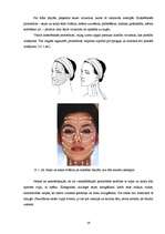 Research Papers 'Sejas ādas tipi, tās īpatnības, pielietojamie kosmētiskie līdzekļi', 19.