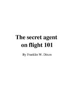 Summaries, Notes 'Franklin W.Dixon "The Secret Agent on Flight 101"', 1.