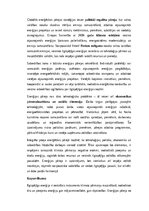 Essays 'Ilgtspējīga enerģija un klimata pārmaiņas', 5.