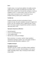 Essays 'Enerģētikas transformācija: atjaunojamie energoresursi un to loma ilgtspējīgā nā', 1.