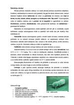 Research Papers 'Gaļas produktu piesārņošana', 13.