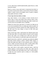 Essays 'Angļu valodas loma globālajā sabiedrībā: komunikācija, izglītība un kultūra', 3.