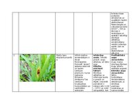 Summaries, Notes 'Praktiskais darbs augu aizsardzībā', 3.
