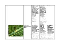 Summaries, Notes 'Praktiskais darbs augu aizsardzībā', 4.