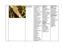 Summaries, Notes 'Praktiskais darbs augu aizsardzībā', 8.