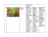 Summaries, Notes 'Praktiskais darbs augu aizsardzībā', 9.