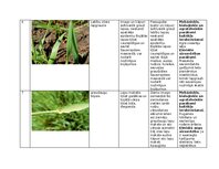 Summaries, Notes 'Praktiskais darbs augu aizsardzībā', 11.