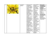 Summaries, Notes 'Praktiskais darbs augu aizsardzībā', 13.