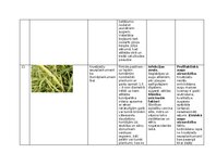 Summaries, Notes 'Praktiskais darbs augu aizsardzībā', 15.