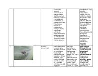 Summaries, Notes 'Praktiskais darbs augu aizsardzībā', 16.