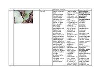 Summaries, Notes 'Praktiskais darbs augu aizsardzībā', 18.