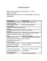 Practice Reports 'Latviešu valodas un literatūras specializācijas prakse', 5.