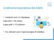 Presentations 'Uzņēmuma SIA "Arktika G" korporatīvā tēla uzlabošanas plāns', 4.