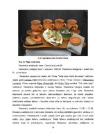 Research Papers 'Latviešu nacionālo ēdienu klāsts, to pieejamība Vecrīgas restorānos', 19.