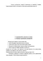 Research Papers 'Uzņēmējdarbības būtība, plānošana un mērķi', 5.