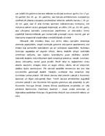 Research Papers 'Kopīgais un atšķirīgais Rundāles un Jelgavas baroka piļu mākslā', 3.