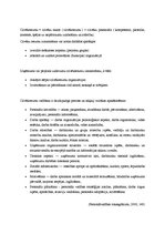 Term Papers 'Sporta preču veikala izveides priekšnosacījumi un attīstības iespējas Valmierā', 22.