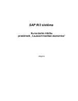 Research Papers 'SAP R/3 sistēma', 1.