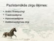 Presentations 'Zirgu audzēšana Latvijā', 6.