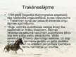 Presentations 'Zirgu audzēšana Latvijā', 9.