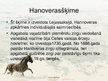 Presentations 'Zirgu audzēšana Latvijā', 11.