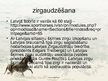Presentations 'Zirgu audzēšana Latvijā', 15.