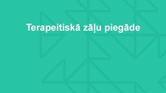 Presentations 'Molekulārie motori, to pielietojuma iespējas medicīnā', 13.