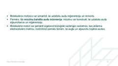 Presentations 'Molekulārie motori, to pielietojuma iespējas medicīnā', 18.