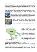 Term Papers 'Latvija kā mērķtirgus Grieķijas salu un kūrortu tūrisma piedāvājumam', 32.