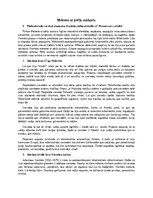 Summaries, Notes 'Meitene ar pērļu auskaru', 1.