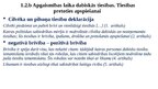 Presentations 'Brīvības diskurss tiesību zinātnē', 4.