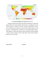 Practice Reports 'Praktiskais darbs klimatoloģijā', 11.