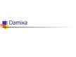 Research Papers 'Company "Damixa"', 35.