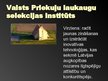 Presentations 'Latvijas selekcija un izmēģinājumu stacijas', 4.