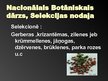 Presentations 'Latvijas selekcija un izmēģinājumu stacijas', 17.